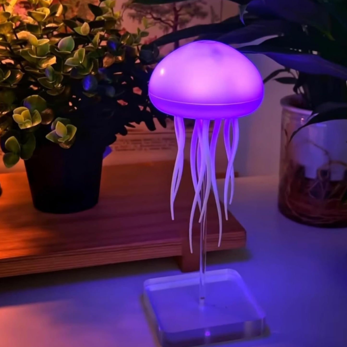 Jellyfish Night Lamp
